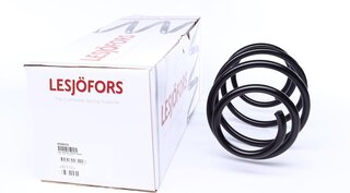 Lesjofors 4008435