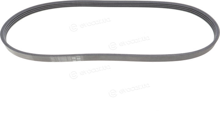 Continental 4PK865 ELAST