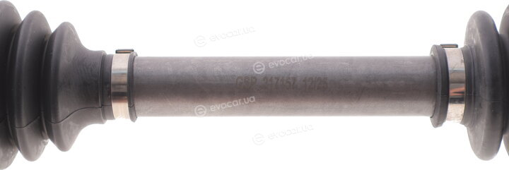 GSP 217157