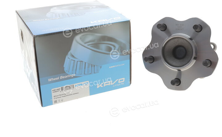 Kavo WBH-6565