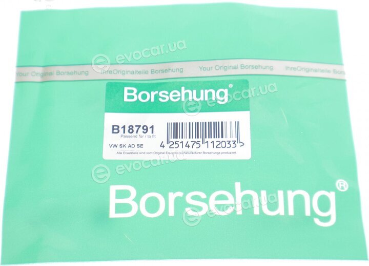 Borsehung B18791