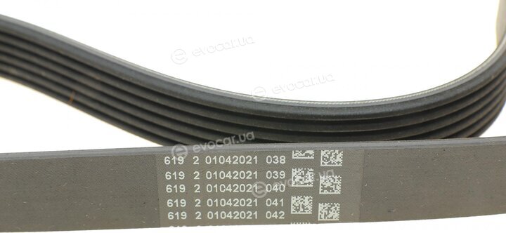 Continental 6PK831 ELAST T1