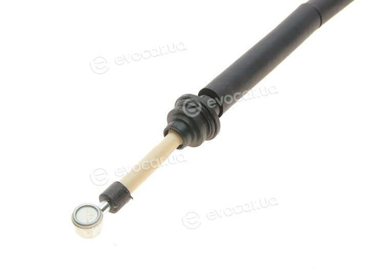 AIC 58954