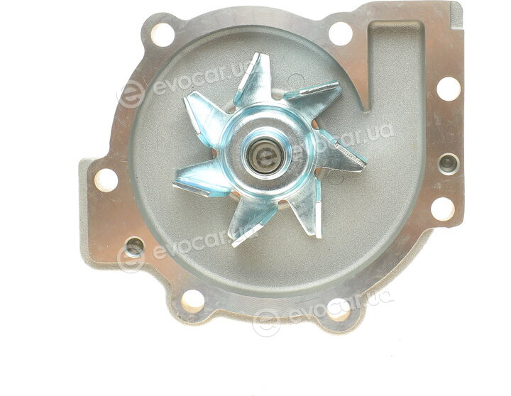 Continental CT979WP2
