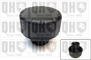 Quinton Hazell FC559
