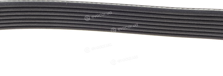 Dayco 7PK2005