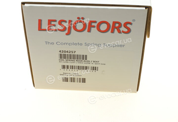 Lesjofors 4204257