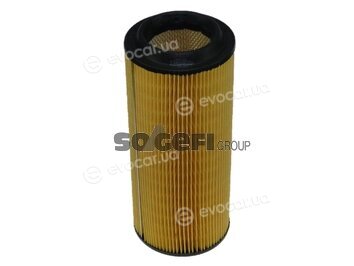 Coopers Fiaam FL6952