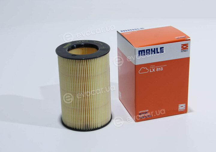Mahle LX 813
