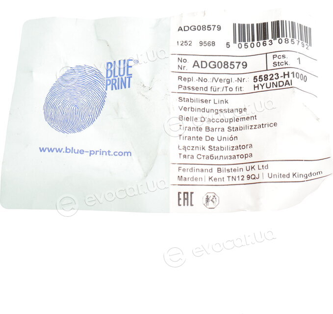 Blue Print ADG08579