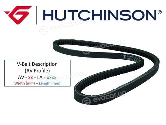 Hutchinson AV 10 La 815