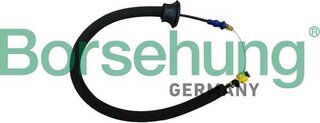 Borsehung B10789