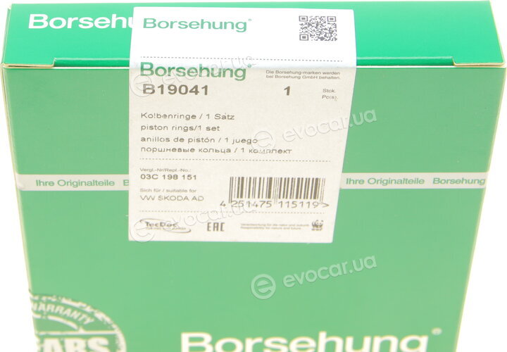 Borsehung B19041
