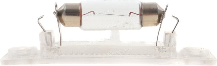 Rotweiss RWS1377