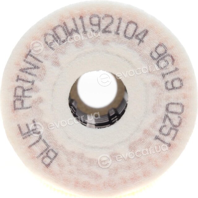Blue Print ADW192104