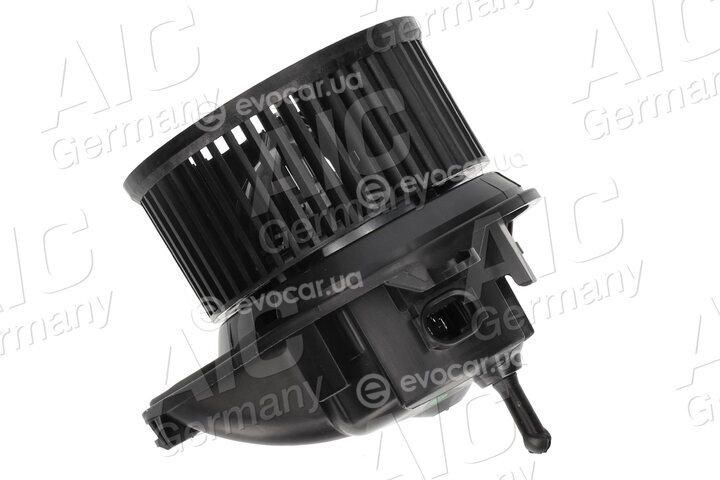 AIC 53036