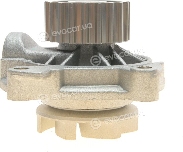 Dayco KTBWP4890