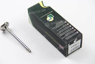 BGA V165671