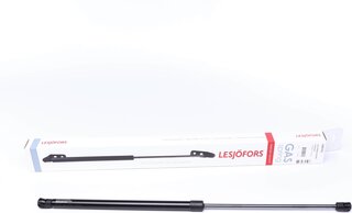 Lesjofors 8069705