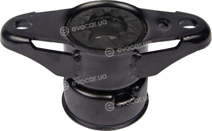 Raiso RC71352