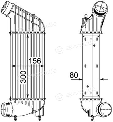 Mahle CI 181 000P