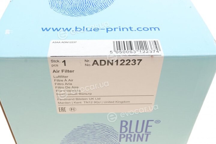 Blue Print ADN12237