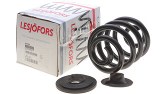 Lesjofors 4295020
