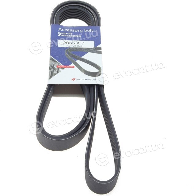 Hutchinson 2055 K 7