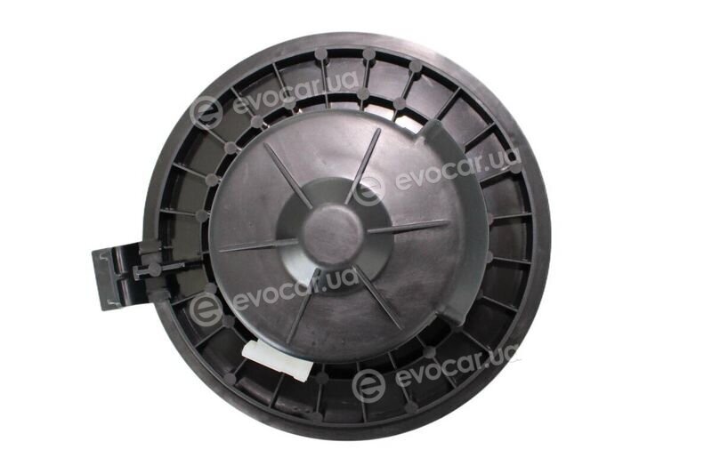 Walker / Fonos WBL00851