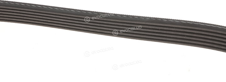 Gates K036PK1873