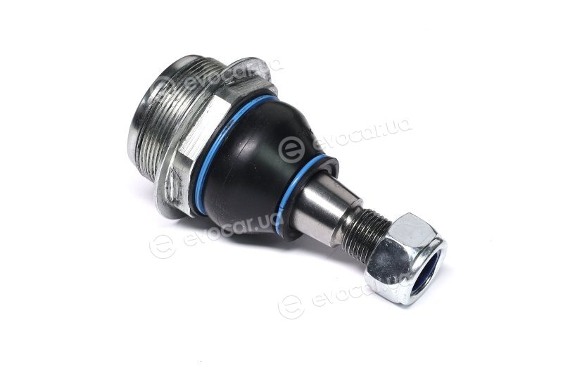 Sasic 7574006
