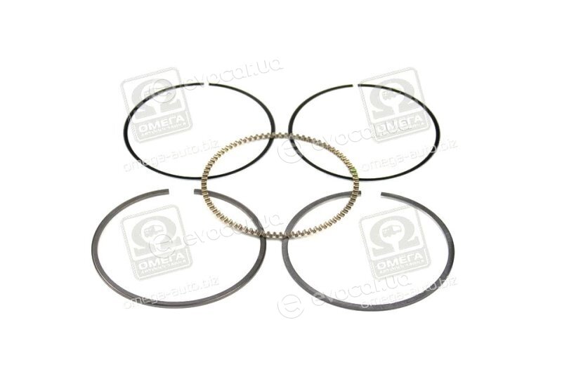 Mahle 022 02 N0