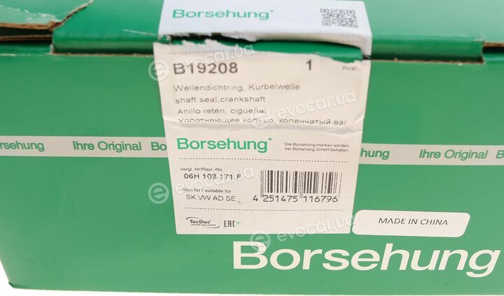 Borsehung B19208