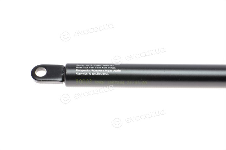 Lesjofors 8004201