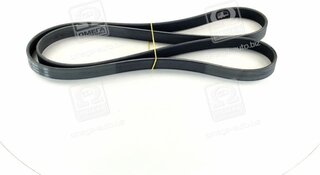 SKF VKMV 6PK1815