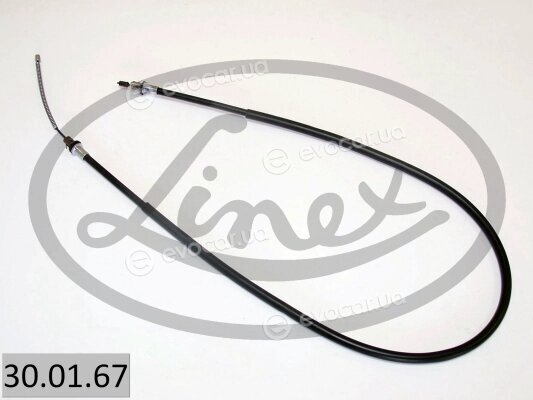 Linex 30.01.67
