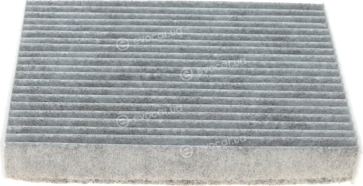 Solgy 104060