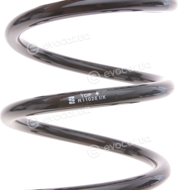 Eibach R11025