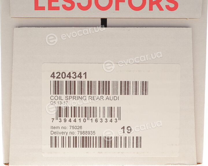 Lesjofors 4204341