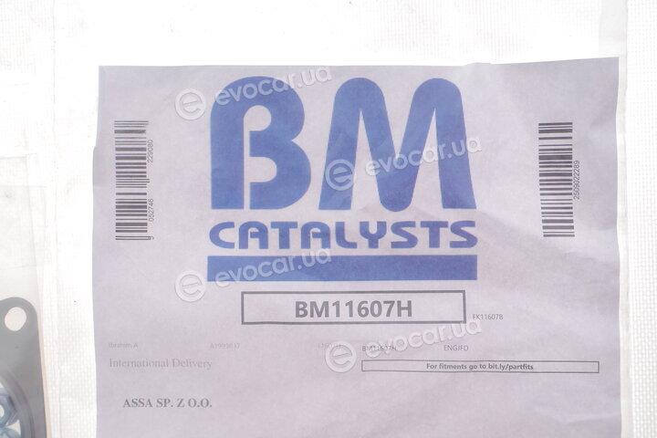 BM Catalysts BM11607H