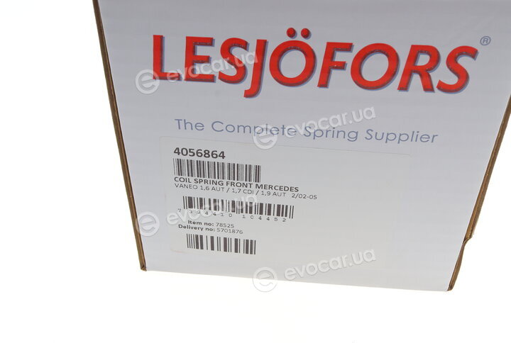 Lesjofors 4056864