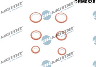 Dr. Motor DRM0836