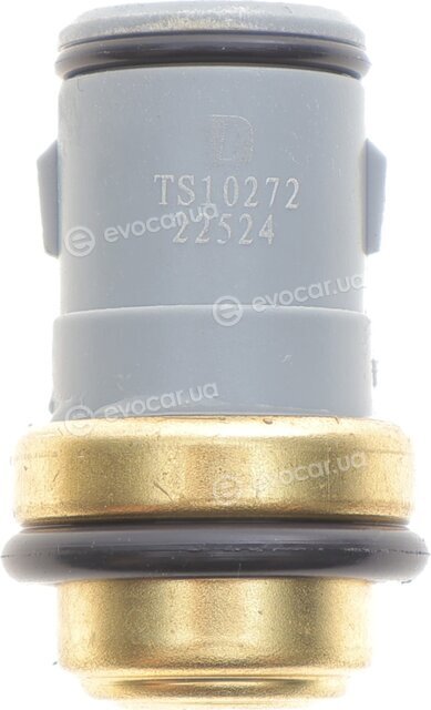 Delphi TS10272