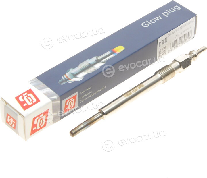 Solgy 116039
