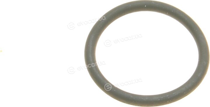 Elring 795.620