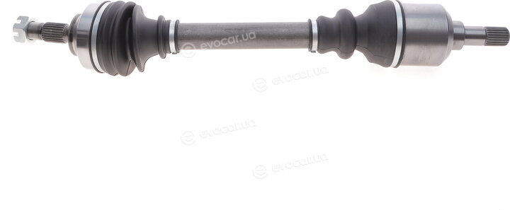 Magneti Marelli 302004190087