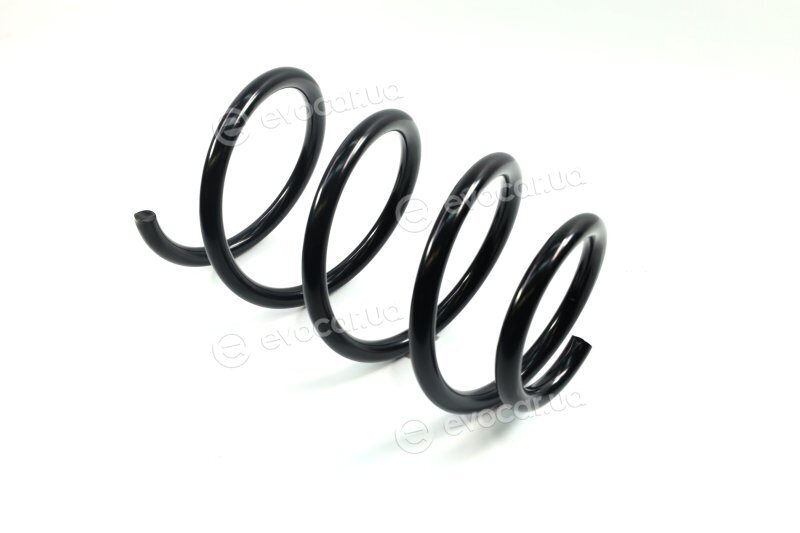 Lesjofors 4062078