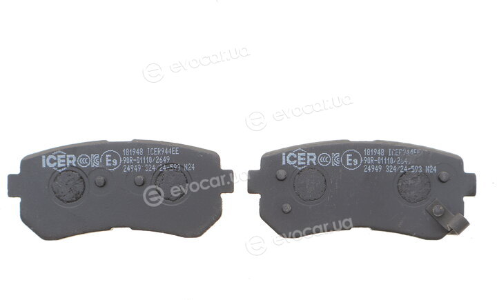 Icer 181948