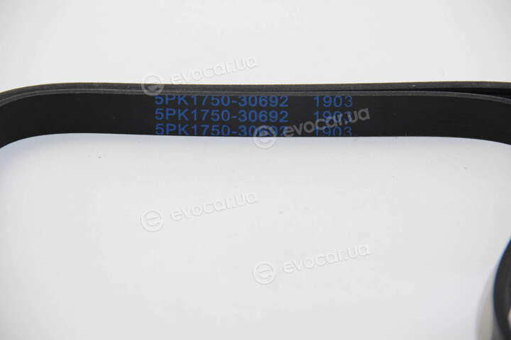 Asam 30692