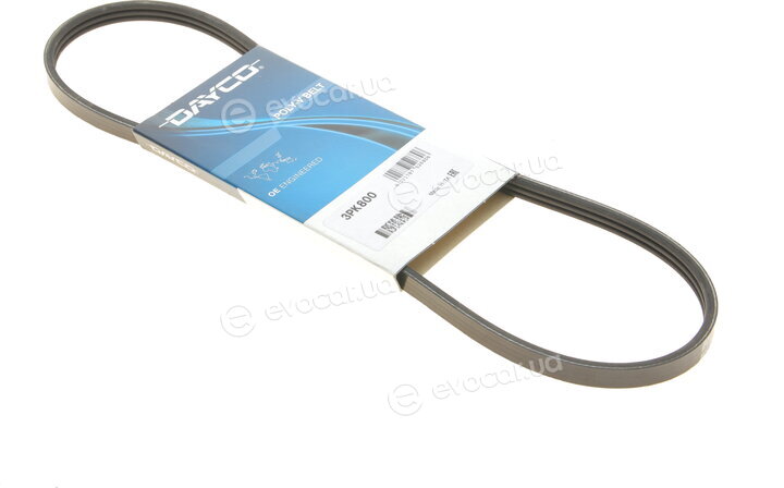 Dayco 3PK800
